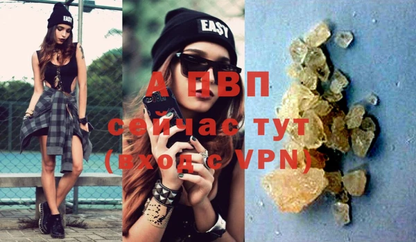 PSILOCYBIN Надым