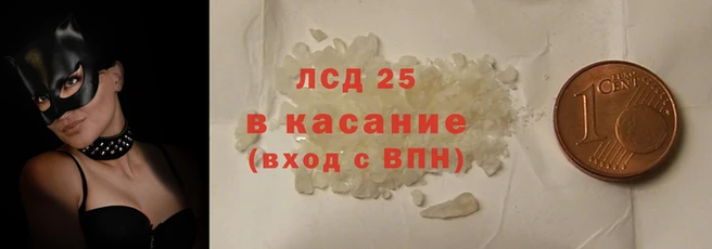 PSILOCYBIN Надым