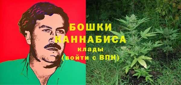 PSILOCYBIN Надым
