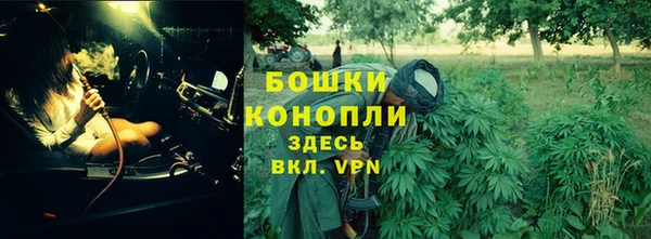 PSILOCYBIN Надым