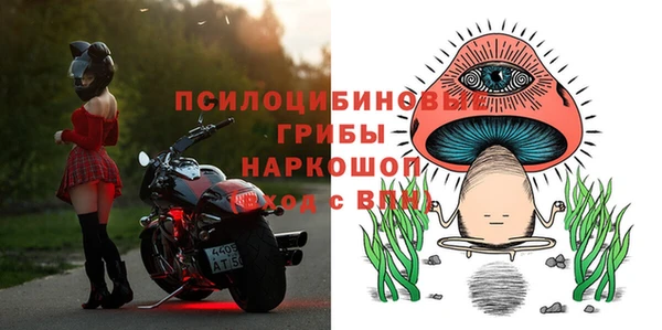 PSILOCYBIN Надым