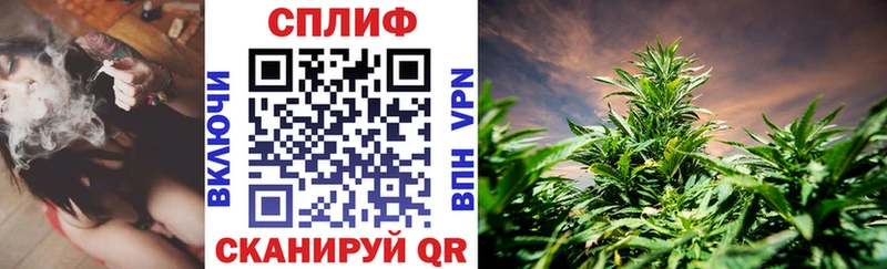 где продают   Пущино  Бошки марихуана планчик 